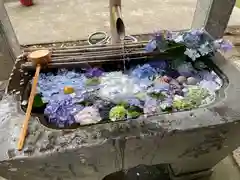 平出雷電神社(栃木県)