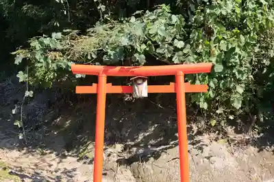 猫稲荷神社の鳥居