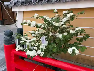 中山寺奥之院(兵庫県)