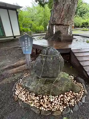平野神社(京都府)