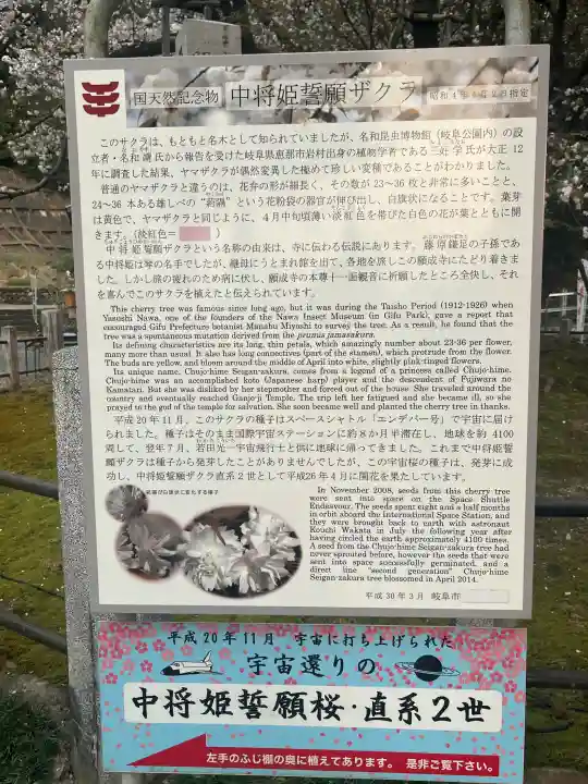 願成寺の{uncategorized: "未分類", other: "その他", undefined: "問題あり", building: "その他建物", grave: "お墓", sacred_gate: "鳥居", guardian: "狛犬", statue: "像", buddha: "仏像", history: "歴史", nature: "自然", garden: "庭園", animal: "動物", pagoda: "塔", temizu: "手水舎", mountain_gate: "山門・神門", sanctuary: "本殿・本堂", subordinate: "末社・摂社", art: "芸術", scenery: "景色", jizo: "地蔵", ema: "絵馬", goshuin: "御朱印", omikuji: "おみくじ", items: "授与品その他", amulet: "お守り", goshuincho: "御朱印帳", eats: "食事", festival: "お祭り", votive_dance: "神楽", shichigosan: "七五三参", wedding: "結婚式", experience: "体験その他", initially: "初詣", around: "周辺", anti_infection: "感染症対策"}