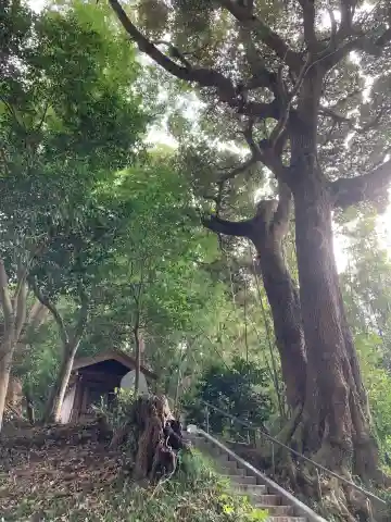 貴船大明神のその他建物