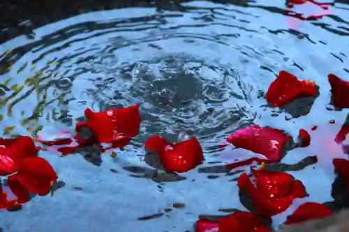 三津厳島神社の手水舎