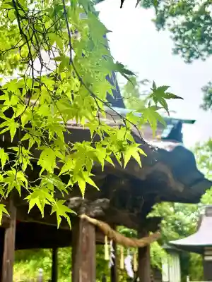蚊里田八幡宮の{uncategorized: "未分類", other: "その他", undefined: "問題あり", building: "その他建物", grave: "お墓", sacred_gate: "鳥居", guardian: "狛犬", statue: "像", buddha: "仏像", history: "歴史", nature: "自然", garden: "庭園", animal: "動物", pagoda: "塔", temizu: "手水舎", mountain_gate: "山門・神門", sanctuary: "本殿・本堂", subordinate: "末社・摂社", art: "芸術", scenery: "景色", jizo: "地蔵", ema: "絵馬", goshuin: "御朱印", omikuji: "おみくじ", items: "授与品その他", amulet: "お守り", goshuincho: "御朱印帳", eats: "食事", festival: "お祭り", votive_dance: "神楽", shichigosan: "七五三参", wedding: "結婚式", experience: "体験その他", initially: "初詣", around: "周辺", anti_infection: "感染症対策"}