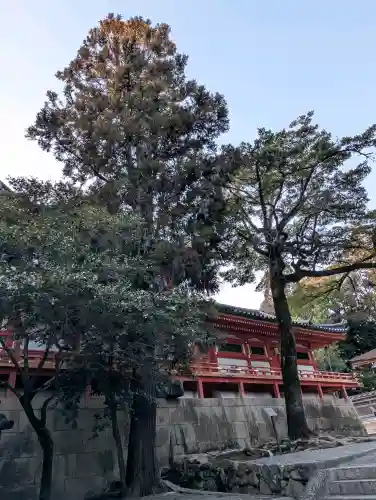 石清水八幡宮の{uncategorized: "未分類", other: "その他", undefined: "問題あり", building: "その他建物", grave: "お墓", sacred_gate: "鳥居", guardian: "狛犬", statue: "像", buddha: "仏像", history: "歴史", nature: "自然", garden: "庭園", animal: "動物", pagoda: "塔", temizu: "手水舎", mountain_gate: "山門・神門", sanctuary: "本殿・本堂", subordinate: "末社・摂社", art: "芸術", scenery: "景色", jizo: "地蔵", ema: "絵馬", goshuin: "御朱印", omikuji: "おみくじ", items: "授与品その他", amulet: "お守り", goshuincho: "御朱印帳", eats: "食事", festival: "お祭り", votive_dance: "神楽", shichigosan: "七五三参", wedding: "結婚式", experience: "体験その他", initially: "初詣", around: "周辺", anti_infection: "感染症対策"}
