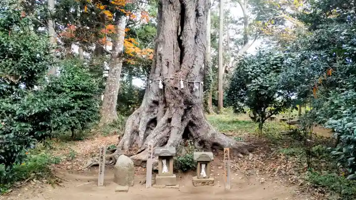 雷神社(千葉県)