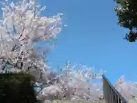 橋寺 放生院(京都府)