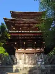 當麻寺の建物その他