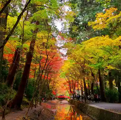 小國神社(静岡県)