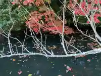 吉備津神社の自然