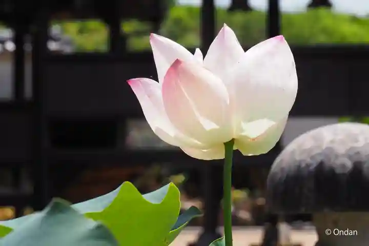 歓喜院(兵庫県)