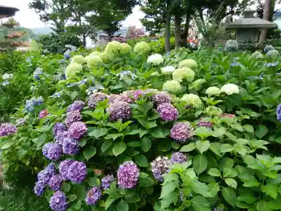 西野神社(北海道)