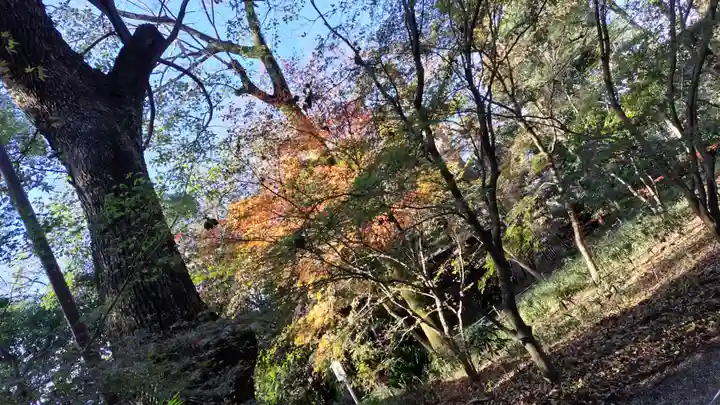 賀茂御祖神社(下鴨神社)(京都府)