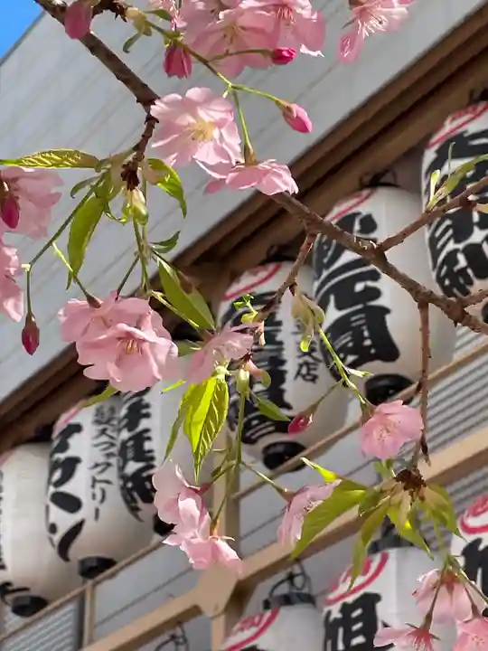 正寶院(飛不動尊)(東京都)