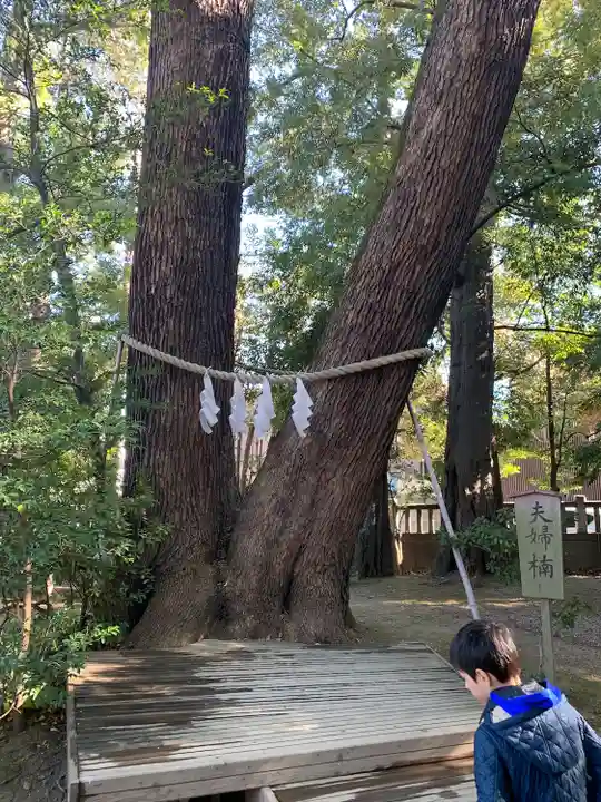 武蔵一宮氷川神社(埼玉県)