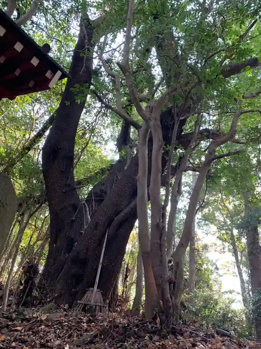 山の神(千葉県)