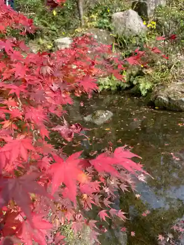 宝満宮竈門神社の庭園