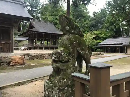 熊野大社の狛犬