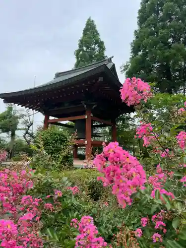 善導寺(群馬県)