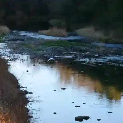 班渓寺の{uncategorized: "未分類", other: "その他", undefined: "問題あり", building: "その他建物", grave: "お墓", sacred_gate: "鳥居", guardian: "狛犬", statue: "像", buddha: "仏像", history: "歴史", nature: "自然", garden: "庭園", animal: "動物", pagoda: "塔", temizu: "手水舎", mountain_gate: "山門・神門", sanctuary: "本殿・本堂", subordinate: "末社・摂社", art: "芸術", scenery: "景色", jizo: "地蔵", ema: "絵馬", goshuin: "御朱印", omikuji: "おみくじ", items: "授与品その他", amulet: "お守り", goshuincho: "御朱印帳", eats: "食事", festival: "お祭り", votive_dance: "神楽", shichigosan: "七五三参", wedding: "結婚式", experience: "体験その他", initially: "初詣", around: "周辺", anti_infection: "感染症対策"}