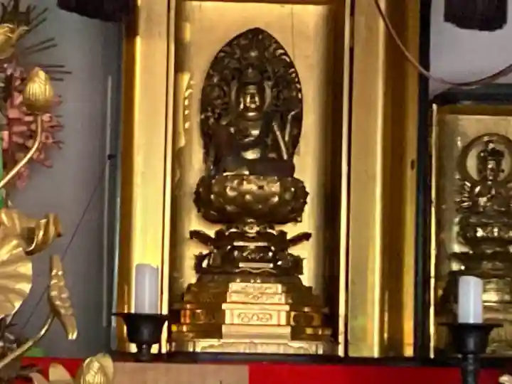 金蔵寺の{uncategorized: "未分類", other: "その他", undefined: "問題あり", building: "その他建物", grave: "お墓", sacred_gate: "鳥居", guardian: "狛犬", statue: "像", buddha: "仏像", history: "歴史", nature: "自然", garden: "庭園", animal: "動物", pagoda: "塔", temizu: "手水舎", mountain_gate: "山門・神門", sanctuary: "本殿・本堂", subordinate: "末社・摂社", art: "芸術", scenery: "景色", jizo: "地蔵", ema: "絵馬", goshuin: "御朱印", omikuji: "おみくじ", items: "授与品その他", amulet: "お守り", goshuincho: "御朱印帳", eats: "食事", festival: "お祭り", votive_dance: "神楽", shichigosan: "七五三参", wedding: "結婚式", experience: "体験その他", initially: "初詣", around: "周辺", anti_infection: "感染症対策"}