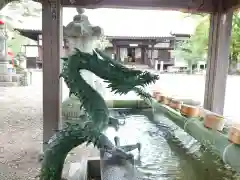 大樹寺（松安院大樹寺）の手水