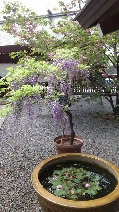 阿佐ヶ谷神明宮(東京都)