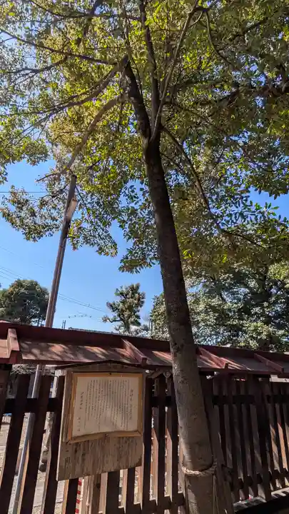 伊勢田神社(京都府)