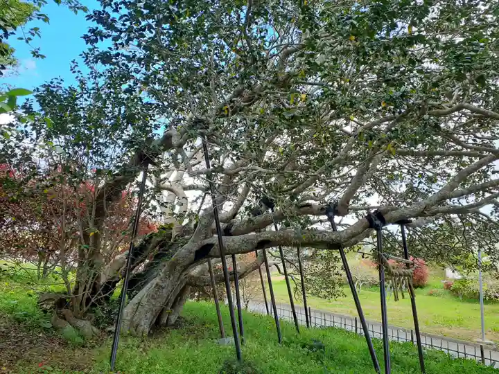 熊野神社(岩手県)
