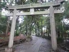 代々木八幡宮の鳥居