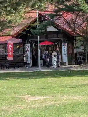 札幌護國神社の七五三参