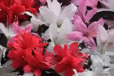 田村神社の手水舎