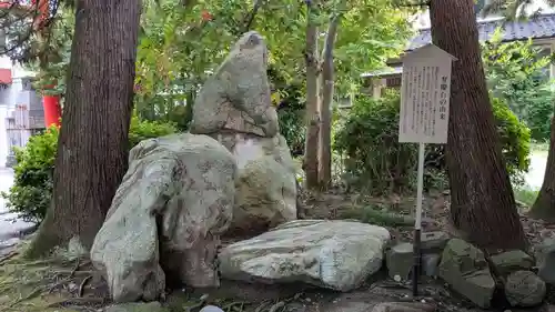 日枝神社の自然
