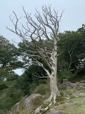 金華山黄金山神社のその他建物