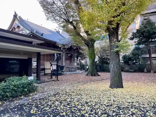 蓮乗寺(東京都)