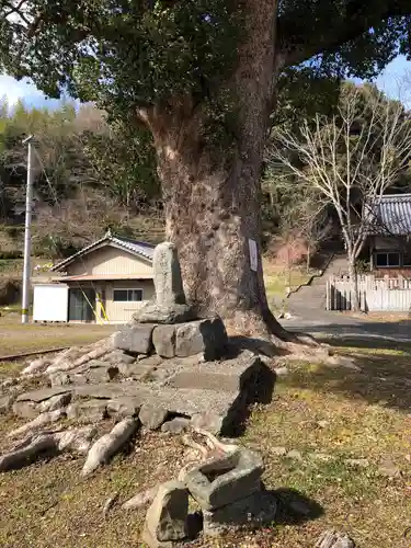 八幡神社の自然