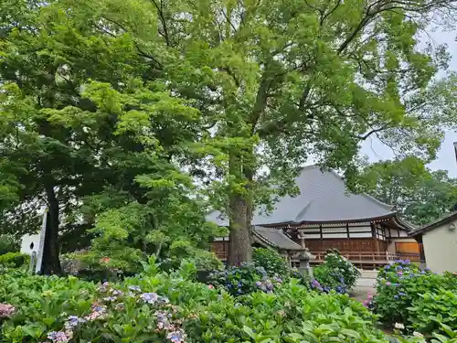 能護寺(埼玉県)