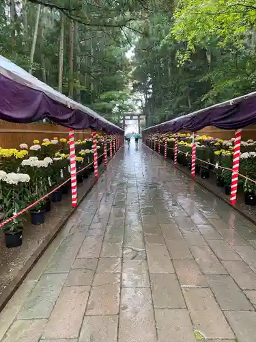 彌彦神社(新潟県)