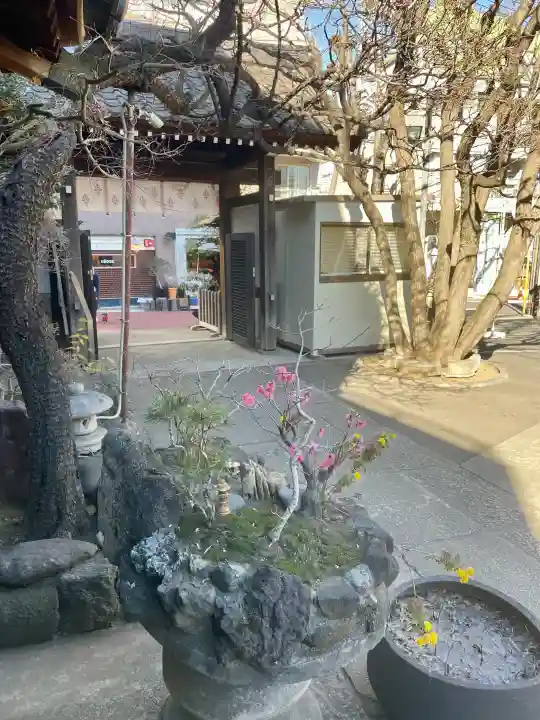 成就院の{uncategorized: "未分類", other: "その他", undefined: "問題あり", building: "その他建物", grave: "お墓", sacred_gate: "鳥居", guardian: "狛犬", statue: "像", buddha: "仏像", history: "歴史", nature: "自然", garden: "庭園", animal: "動物", pagoda: "塔", temizu: "手水舎", mountain_gate: "山門・神門", sanctuary: "本殿・本堂", subordinate: "末社・摂社", art: "芸術", scenery: "景色", jizo: "地蔵", ema: "絵馬", goshuin: "御朱印", omikuji: "おみくじ", items: "授与品その他", amulet: "お守り", goshuincho: "御朱印帳", eats: "食事", festival: "お祭り", votive_dance: "神楽", shichigosan: "七五三参", wedding: "結婚式", experience: "体験その他", initially: "初詣", around: "周辺", anti_infection: "感染症対策"}