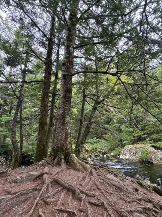 穂高神社奥宮の自然