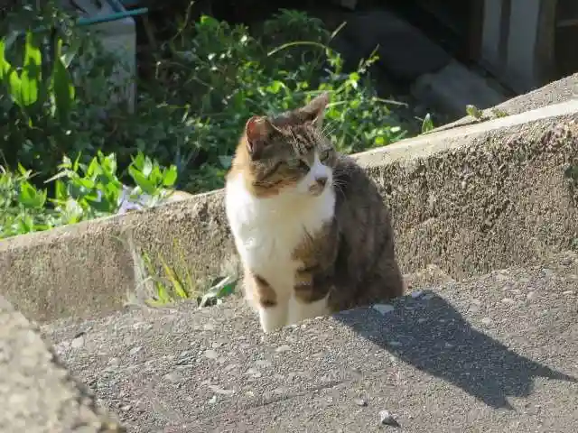 熊野若王子神社(京都府)