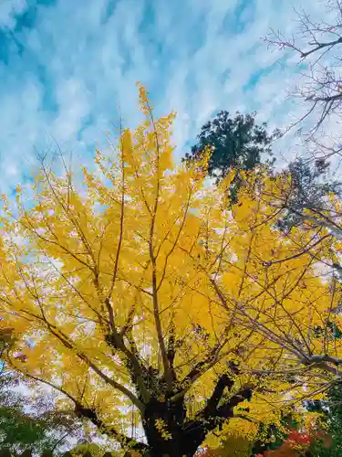 勝尾寺(大阪府)