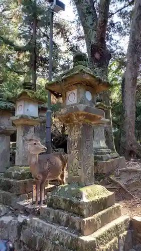 春日大社(奈良県)