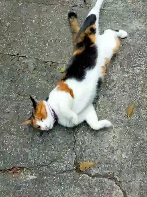 千光寺(広島県)