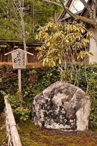 宝泉院(京都府)