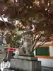 紅葉八幡宮の狛犬