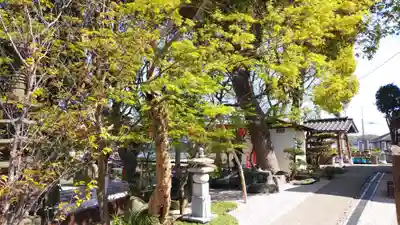 観音寺のその他建物