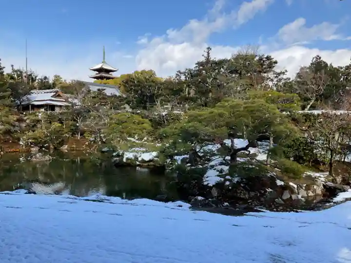 仁和寺の庭園