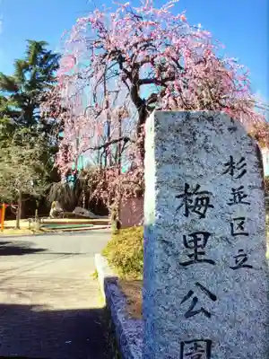 妙法寺(東京都)