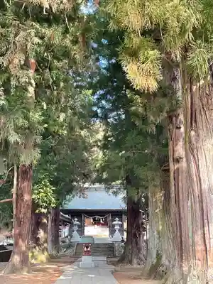 河口浅間神社のその他建物